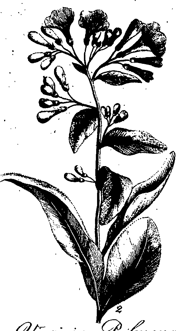 068/068230010008110_1.png
