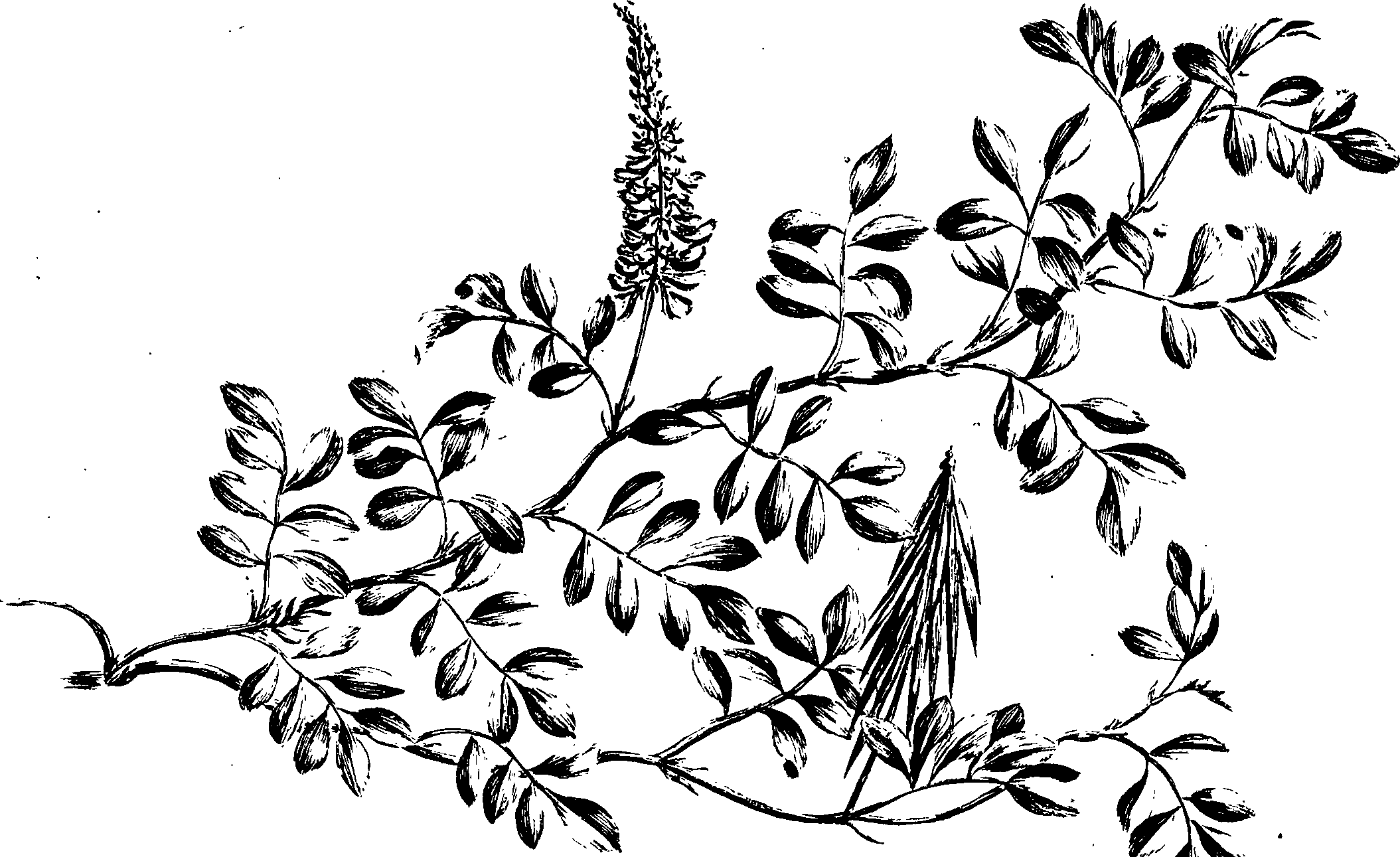 068/068230010008210_0.png
