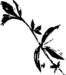 068/068230010008220_0.png