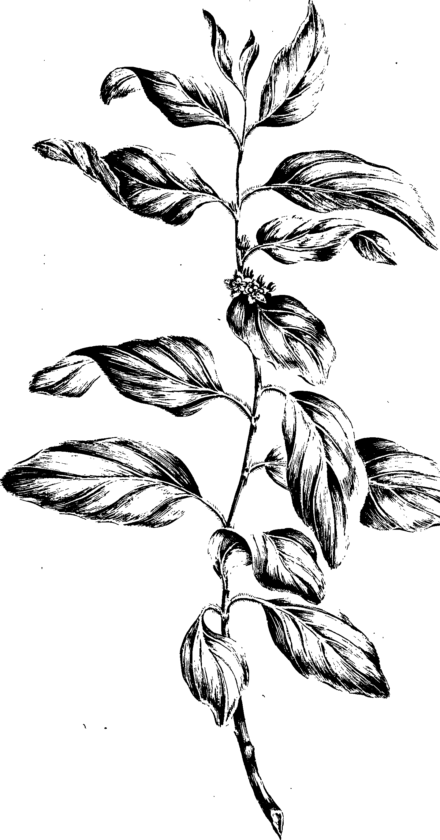 068/068230010008250_0.png