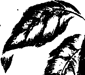 068/068230010008320_0.png