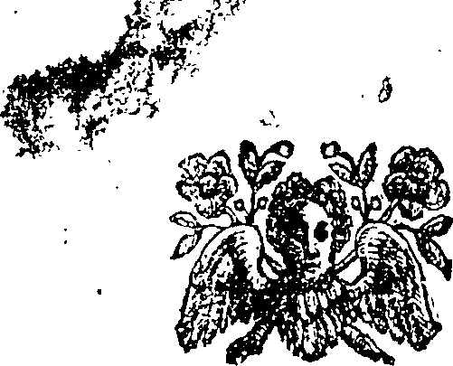 068/068270250000270_0.png