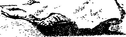 068/068390090100010_0.png