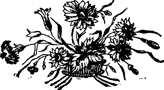 068/068390090102990_0.png