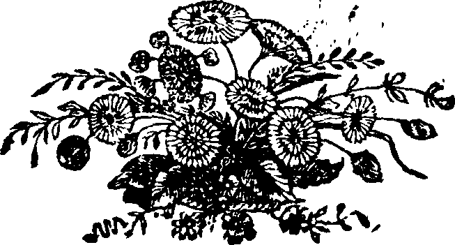 068/068390090402490_0.png
