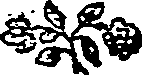 068/068470070000780_0.png