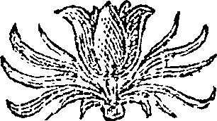 068/068540020101390_0.png