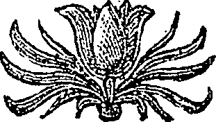 068/068540020101720_0.png
