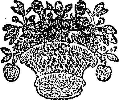 068/068540020101830_0.png