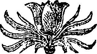 068/068540020202220_0.png
