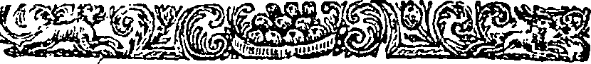 068/068540020202500_0.png
