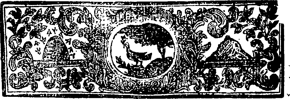 068/068550040000020_1.png
