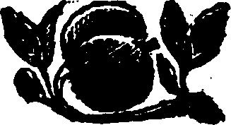 068/068570080000120_0.png