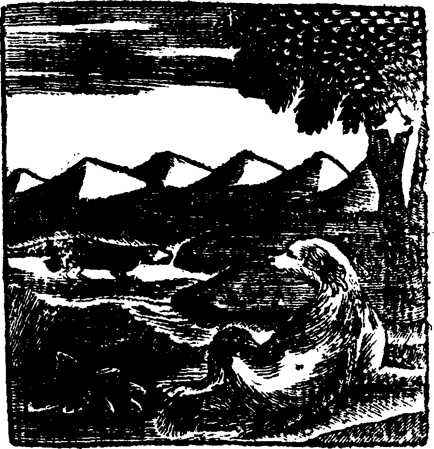 068/068570140100190_0.png