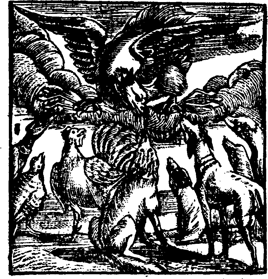 068/068570140100240_0.png