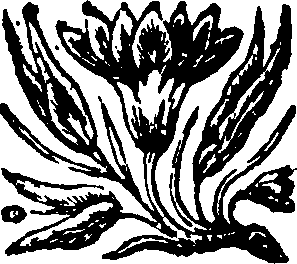 068/068710010000250_0.png