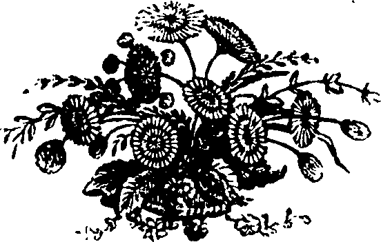 068/068720040000480_0.png