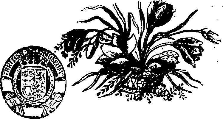 068/068720040000720_0.png