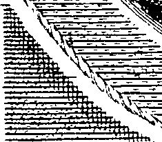 068/068750080100010_0.png