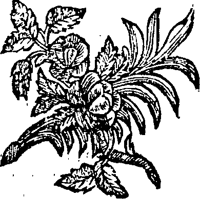 068/068770030000430_0.png