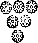 068/068770030000510_0.png