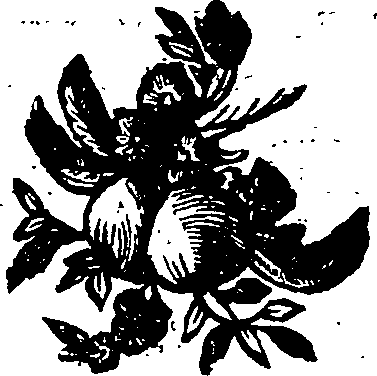 068/068770030000920_0.png