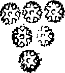 068/068770030001060_0.png