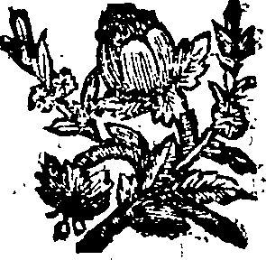 068/068770030001080_0.png