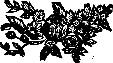068/068770030001600_0.png