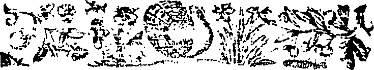 068/068770120003390_0.png