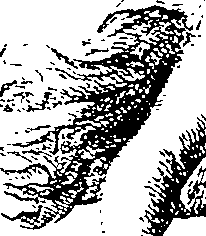 068/068770120003420_0.png