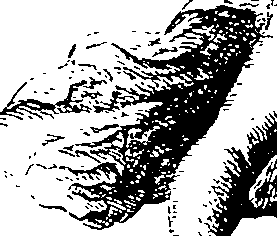 068/068770120003440_0.png