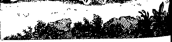 068/068790060202250_0.png
