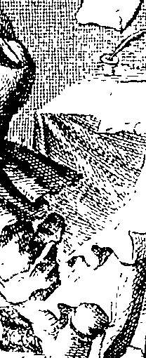 068/068790060202830_1.png