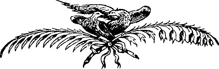 068/068800030000020_1.png