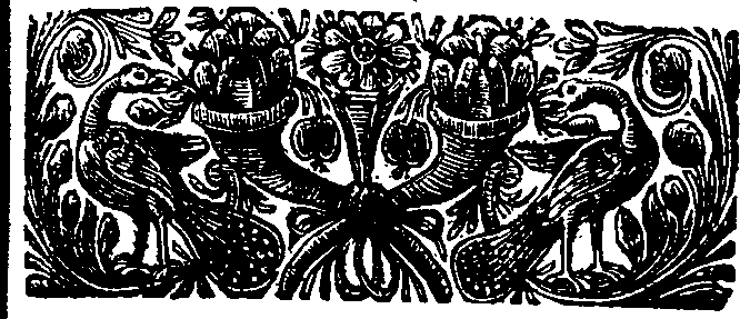 068/068830030205360_0.png