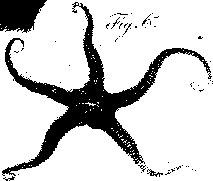 068/068860070108100_0.png
