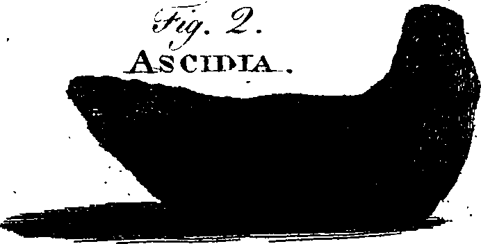068/068860070108100_1.png