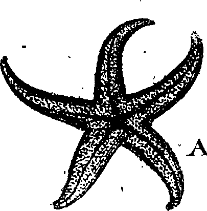 068/068860070108100_2.png