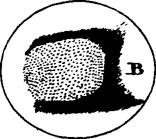 068/068870010201040_0.png