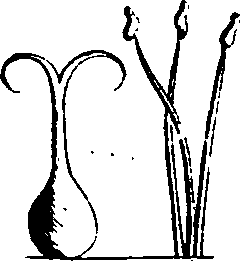 068/068870010205850_0.png