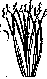 068/068870010205850_1.png