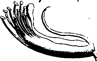 068/068870010205850_2.png