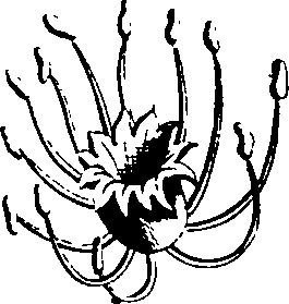 068/068870010205850_3.png