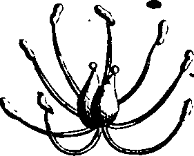 068/068870010205850_4.png