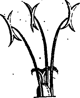 068/068870010205850_5.png