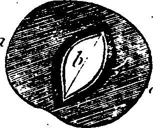 068/068870010205880_1.png