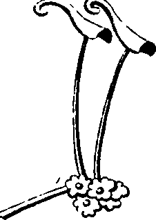 068/068870010205880_4.png