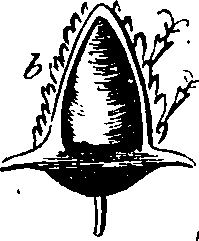 068/068870010205880_5.png