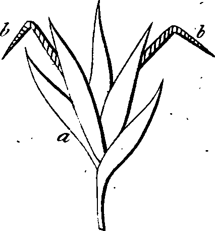 068/068870010205880_6.png